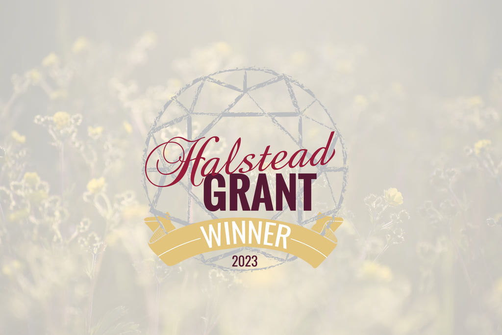 My Halstead Grant Experience