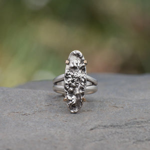 Nature-inspired Wild Meadow Texture Ring in oxidized sterling silver and 14k gold with layered wildflower and botanical textures from goldenrod and an overlapping leaf.
