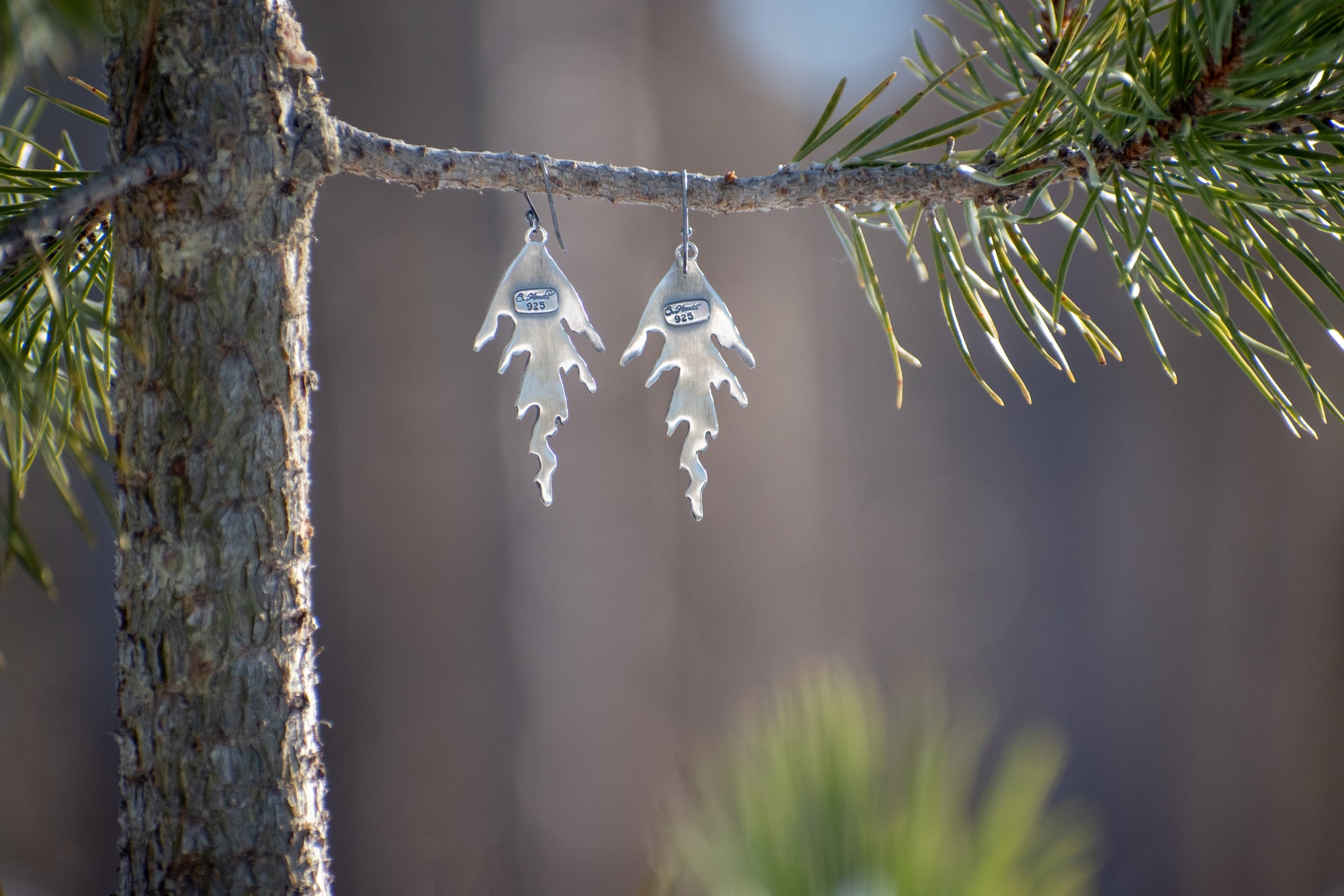 Back of handmade sterling silver cedar earrings hanging from branch