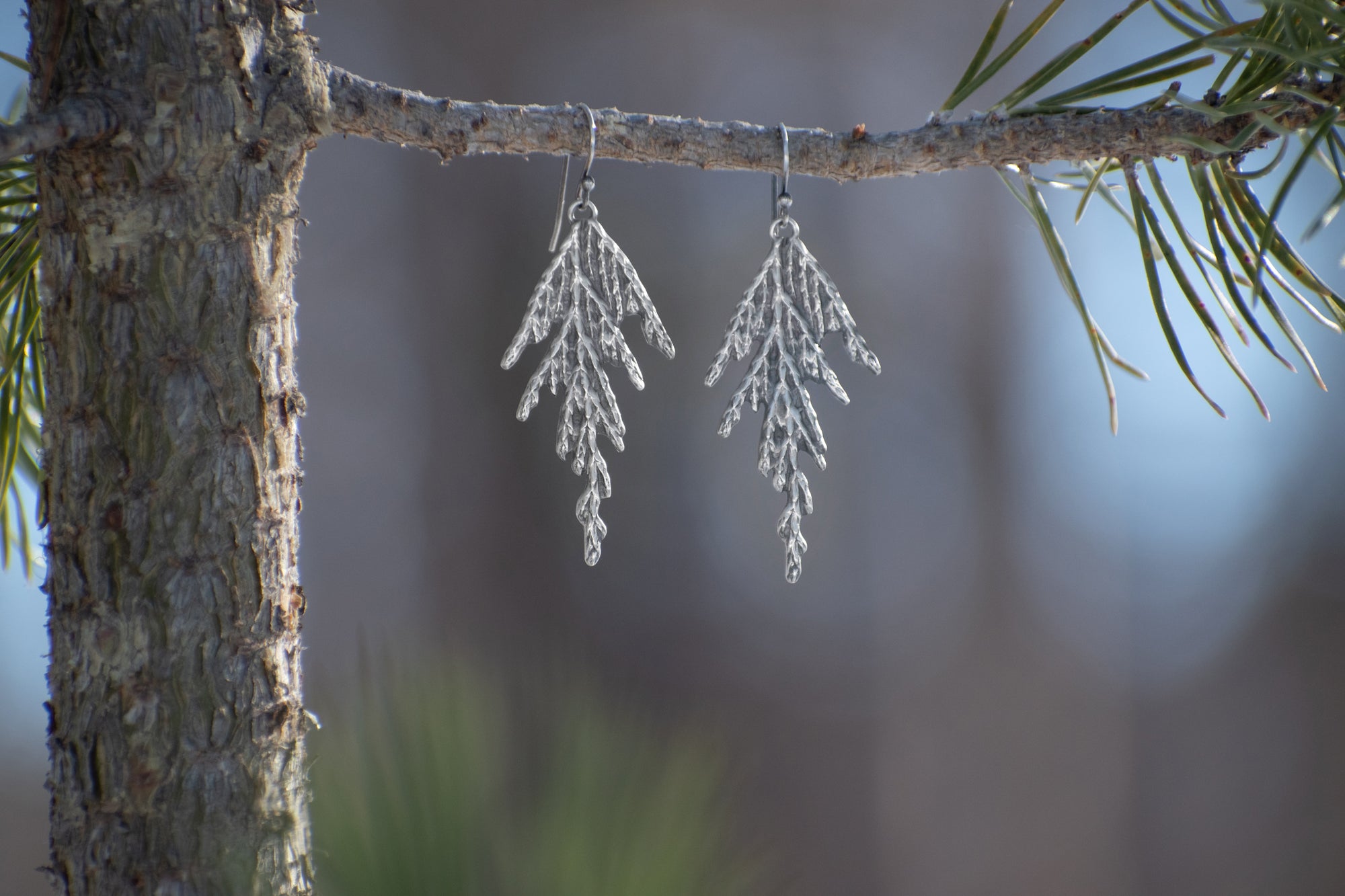 Handmade sterling silver cedar dangle earrings on branch